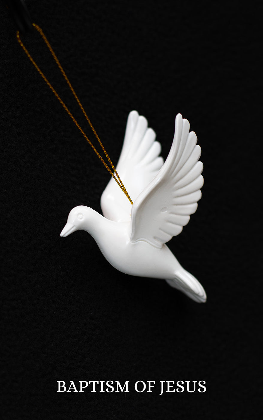 Baptism of Jesus - Photo 5